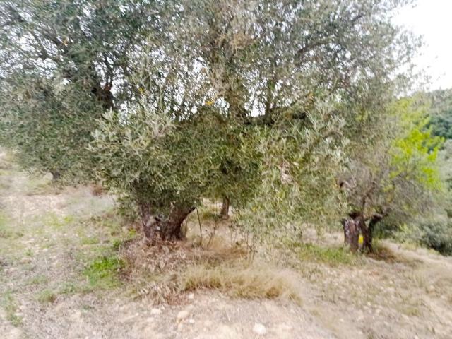 Casa Rural en venta en La Puebla de Castro, Ribagorza