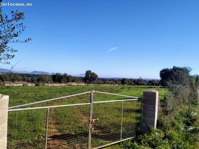 Local Comercial en venta en Pla de Mallorca, Baleares