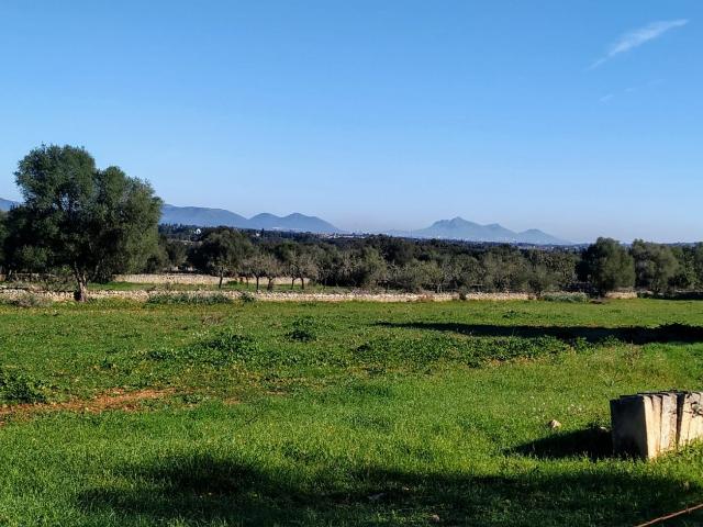 Terreno en venta en Llubí Terreno en venta en Llubí