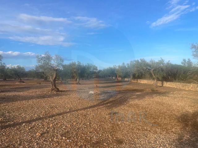 Casa en venta en Baix Ebre, Catalunya