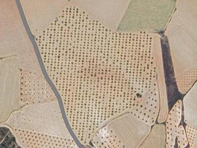 Terreno en venta en Noblejas, Castilla-La Mancha