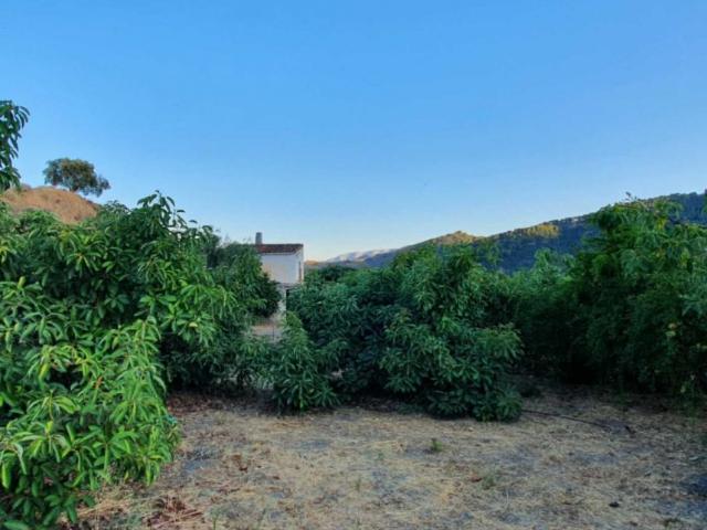 Chalet en venta en Yunquera, Málaga