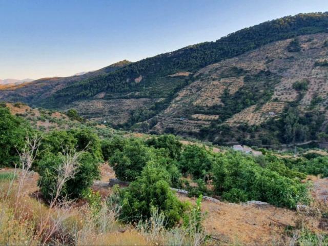 Chalet en venta en Sierra de las Nieves, Andalucía