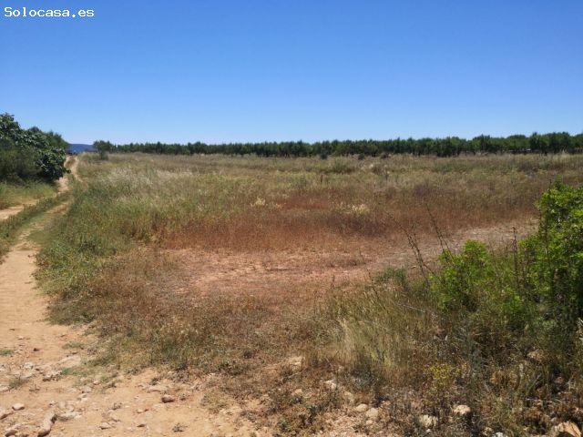 Local Comercial en venta en la Plana Alta, Valencia