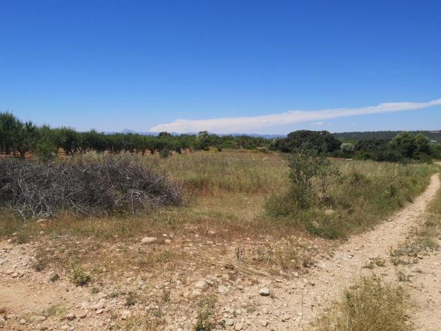 Terreno en venta en Vall D'alba, Valencia