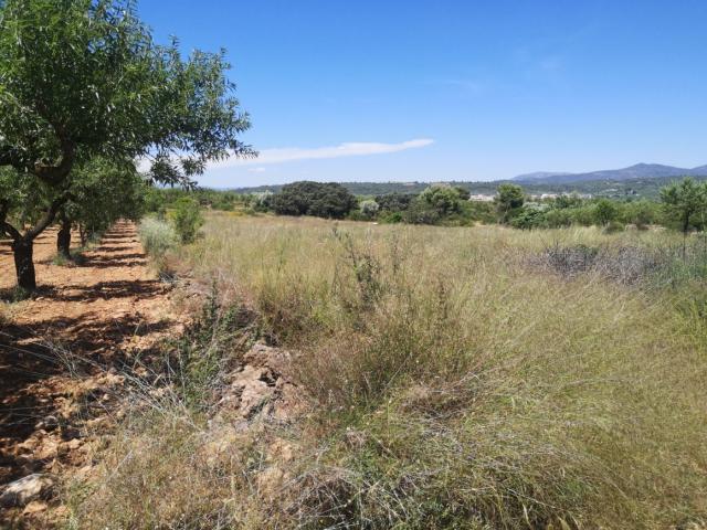 Terreno en venta en la Plana Alta, Valencia