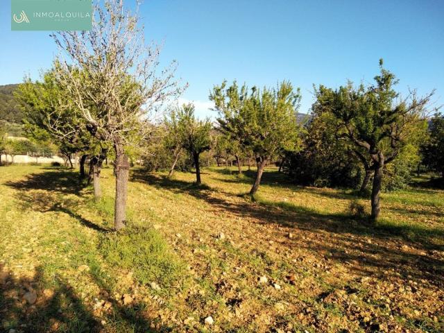 Villa en venta en Lloseta