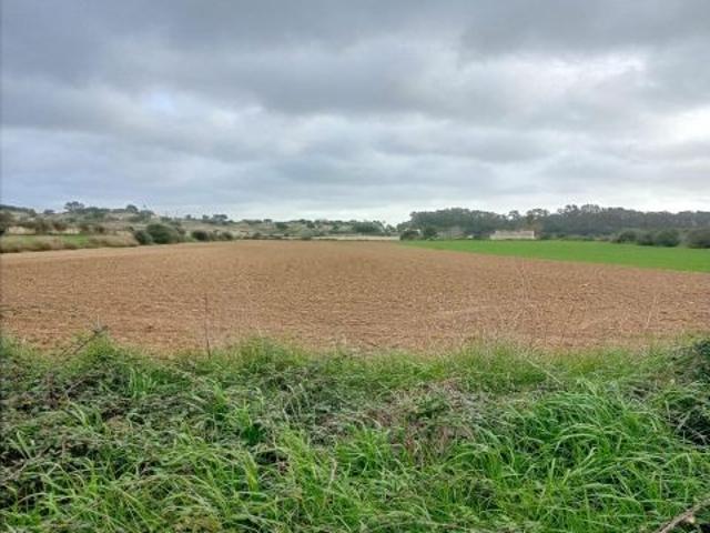 Local Comercial en venta en Pla de Mallorca, Baleares