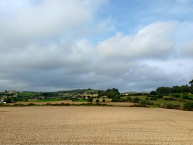 Terreno en venta en Pla de Mallorca, Baleares