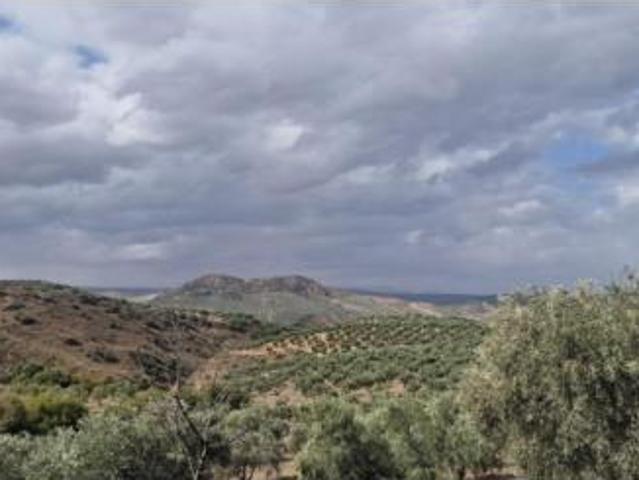 Terreno en venta en Alameda, Málaga