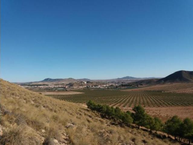 Terreno en venta en Albatana, Albacete