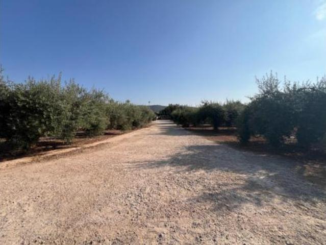 Terreno en venta en Alcanar, Tarragona