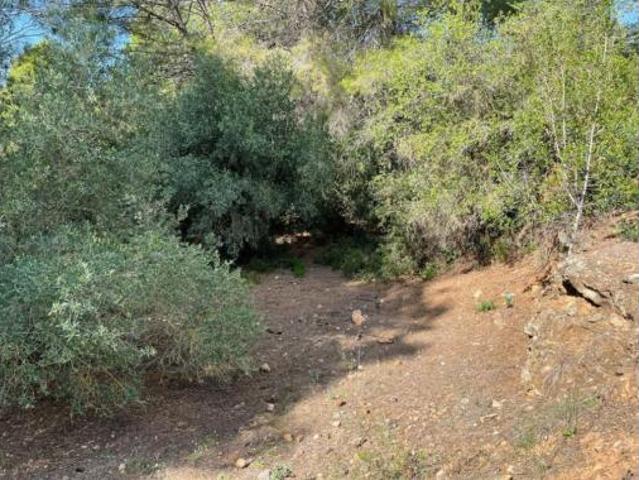Terreno en venta en Mas del Cano, Alcover