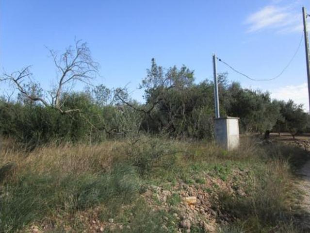 Terreno en venta en Aldover, Tarragona