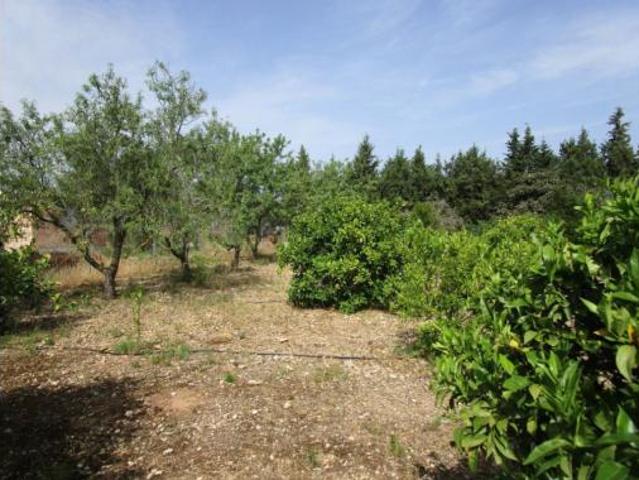 Terreno en venta en Aldover, Tarragona
