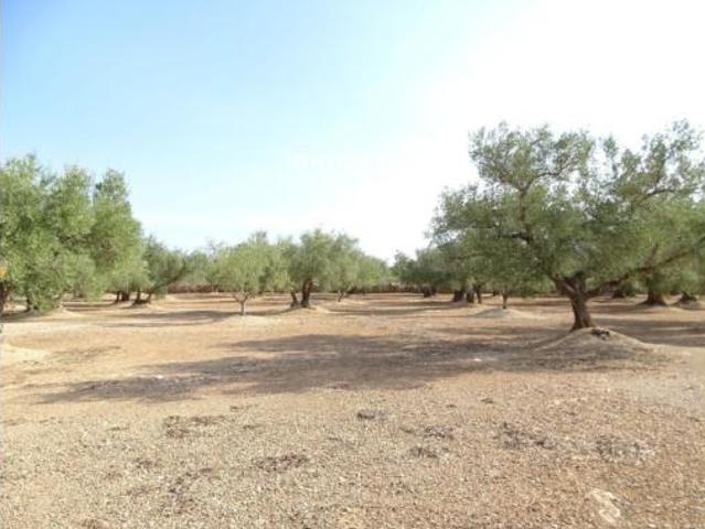 Terreno en venta en Aldover, Tarragona