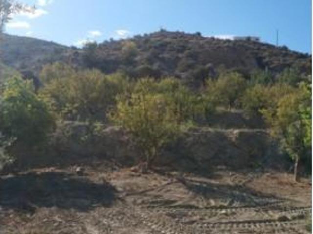 Terreno en venta en Alhabia, Almería