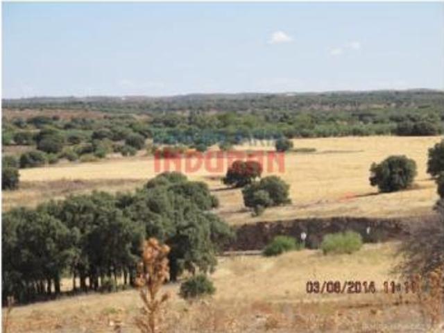 Terreno en venta en Almedina, Ciudad Real