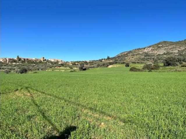 Terreno en venta en Alquézar, Huesca