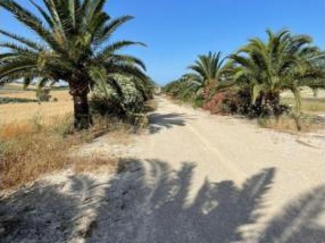 Terreno en venta en Arcos de la Frontera, Cádiz