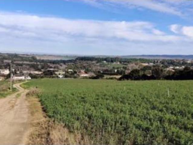 Terreno en venta en Arcos de la Frontera, Cádiz