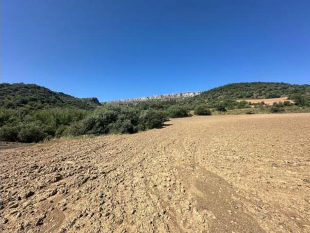 Terreno en venta en El Chorrillo, Jiloca