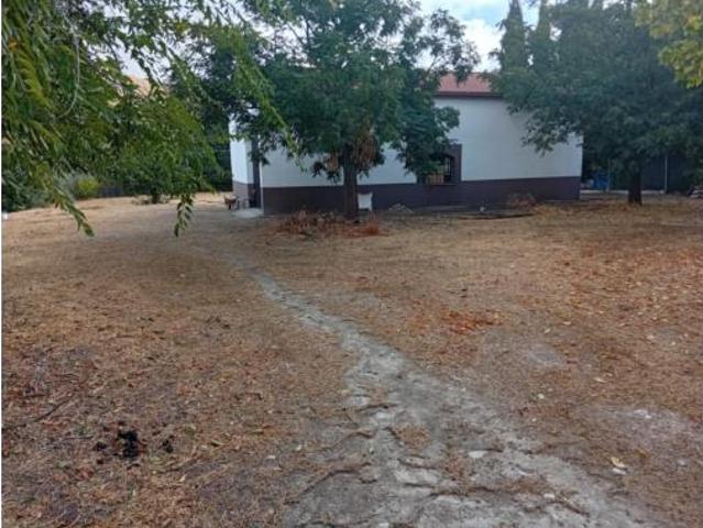 Terreno en venta en Baena, Córdoba