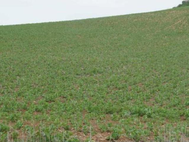 Terreno en venta en Albendín, Baena