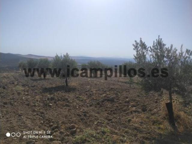 Terreno en venta en Baena, Córdoba