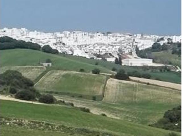 Terreno en venta en Ribera de la Oliva, Barbate