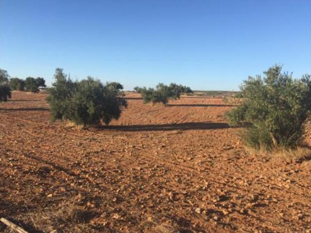 Terreno en venta en Belmonte, Cuenca