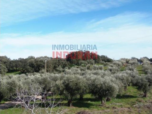 Terreno en venta en Casas de Belvís, Belvís de Monroy