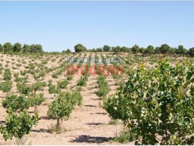 Terreno en venta en Belvís de Monroy, Cáceres