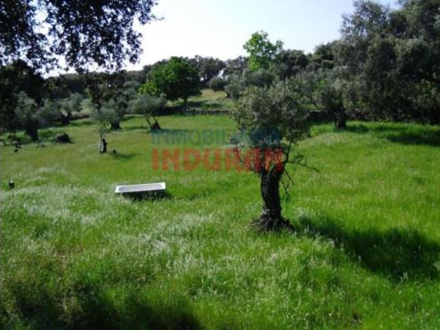 Terreno en venta en Casas de Belvís, Belvís de Monroy