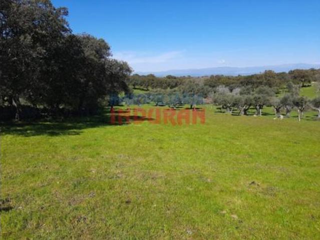 Terreno en venta en Casas de Belvís, Belvís de Monroy