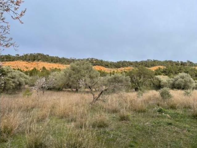 Terreno en venta en Benifallet, Tarragona