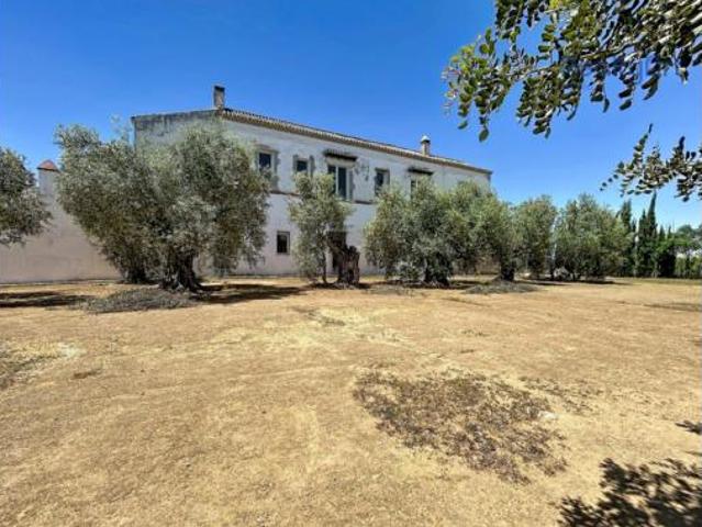 Terreno en venta en Bollullos De La Mitación, Andalucía