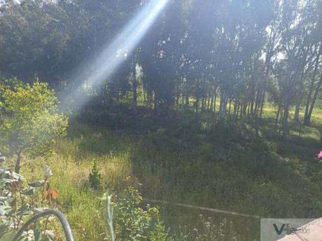Terreno en venta en Coto de Bornos, Bornos