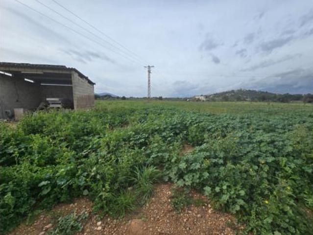 Terreno en venta en Es Pujol, Búger