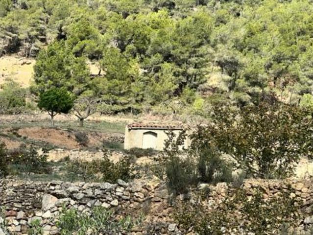 Terreno en venta en Cabra Del Camp