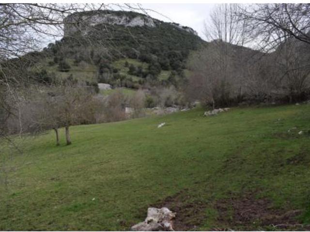 Terreno en venta en Carreña, Cabrales