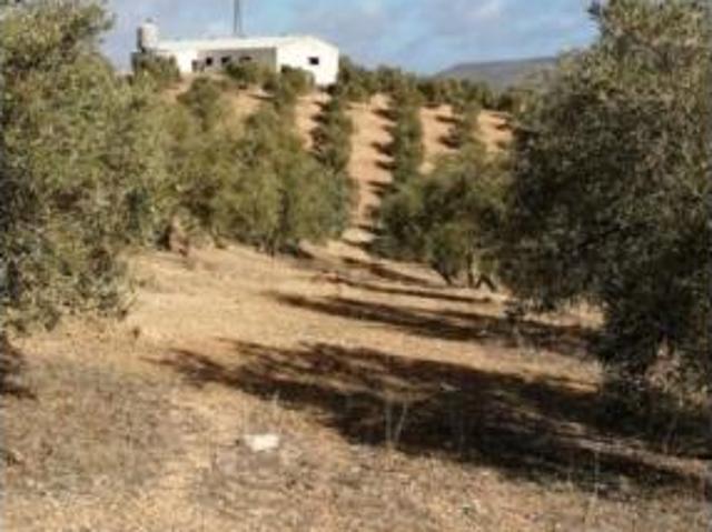 Terreno en venta en Campillos, Málaga