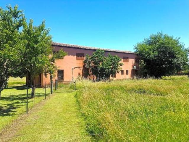 Terreno en venta en Candeleda, Ávila