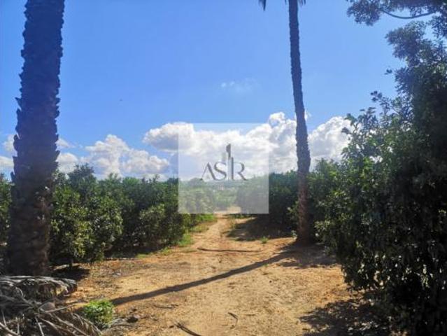 Terreno en venta en la Barraca d'Aigües Vives, Carcaixent