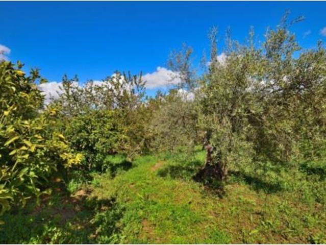 Terreno en venta en Cartajima, Málaga