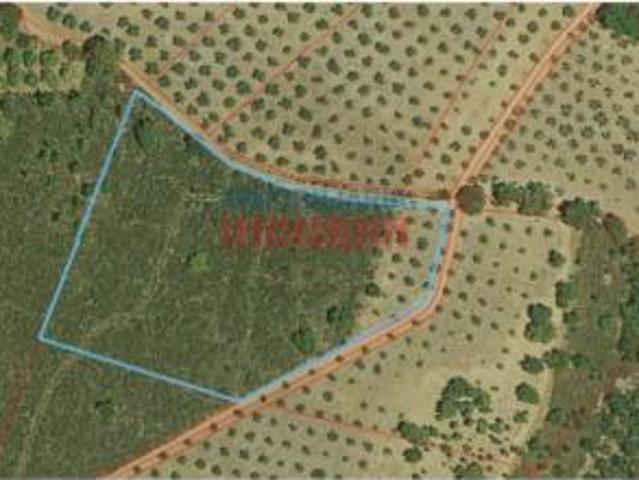 Terreno en venta en Castañar de Ibor, Cáceres