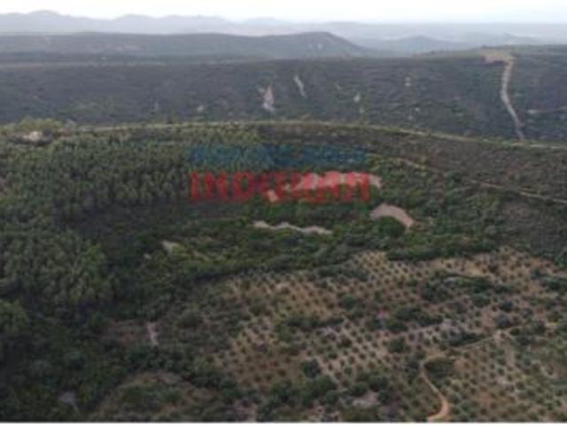 Terreno en venta en Castañar de Ibor, Cáceres