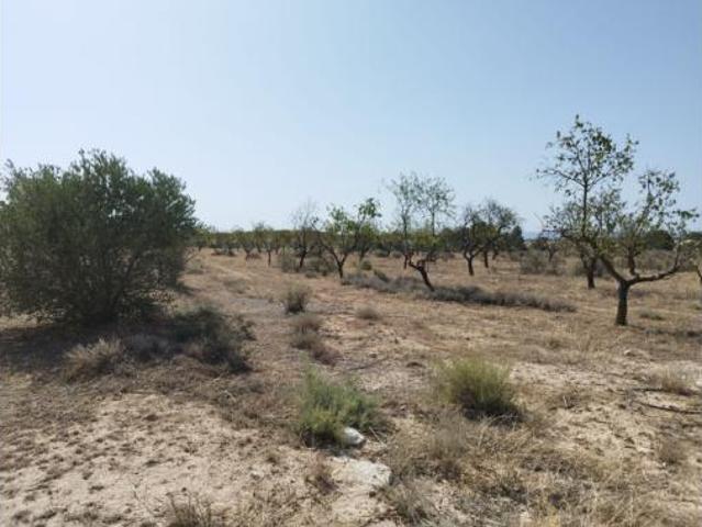 Terreno en venta en los Vinyals, Castelldans