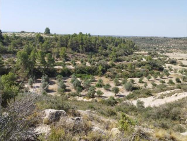 Terreno en venta en Castelldans, Lleida
