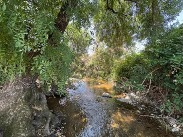 Terreno en venta en Cazalla De La Sierra, Andalucía